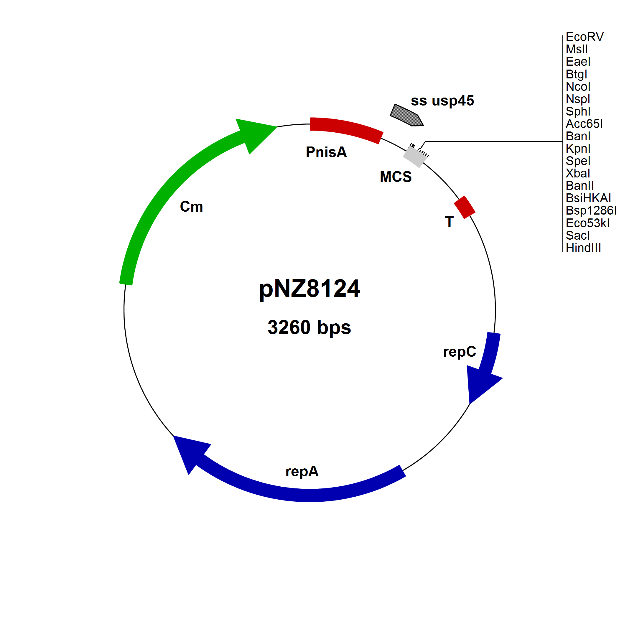 NICE® pNZ8124 Lactococcus lactis secretion vector, EcoRV site, 10 µg